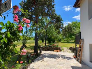 En have udenfor Villa Suhodol