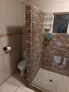 a bathroom with a glass shower with a toilet at The Pinnacle in Bloem in Bloemfontein