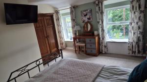 ein Schlafzimmer mit einem Bett, einer Kommode und einem Fernseher in der Unterkunft North Wales Cosy Cottage with views near Eryri Snowdonia in Nantlle