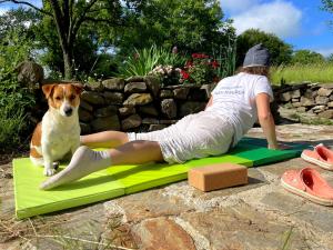 Et eller flere kæledyr der bor med gæster på Villa Suhodol