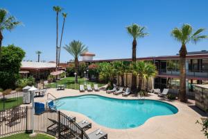 an image of a pool at a hotel with palm trees at Papago Scottsdale by Reside, Trademark Collection by Wyndham in Scottsdale
