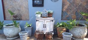 a table with a bird cage and some plants at Chrysantimum Guest Apartment in Thabazimbi