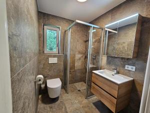 a bathroom with a shower and a toilet and a sink at Apartment Neukirchen near Ski Slopes in Neukirchen am Großvenediger +27 photos