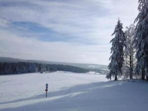 Apartment in Veysonnaz near Ski Gondola im Winter