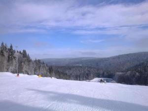 Apartment in Veysonnaz near Ski Gondola im Winter