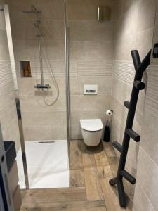 コルマールにあるAppt 602のシャワーとトイレ付きのバスルーム +34枚の写真