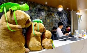three large stuffed teddy bears sitting at a counter at Hi-YES Hotel Hualien in Hualien City
