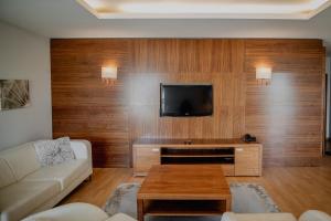 a living room with a couch and a tv at Apartament 101 w Hotelu Platinum in Ostróda