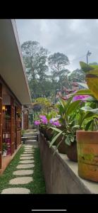 a walkway with potted plants next to a building at Alam Semeru, Traditional Indonesian Homestay in Gunungsriti