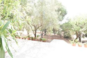 Gallery image of Casa Vacanze il Bouganville in Chia