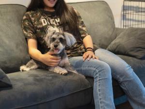 Haiwan peliharaan atau haiwan-haiwan peliharaan yang menginap dengan tetamu di 出雲日和 by HIYORISTAY