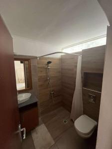 a bathroom with a shower and a toilet and a sink at lacasadirigas in Lefkada +15 photos