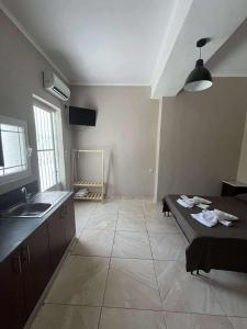 a kitchen with a sink and a table in a room at lacasadirigas in Lefkada