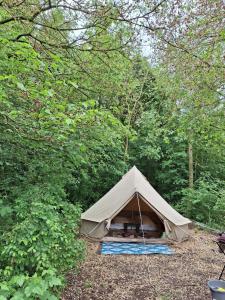 a tent in the middle of a forest at CampSpirit in Biddinghuizen