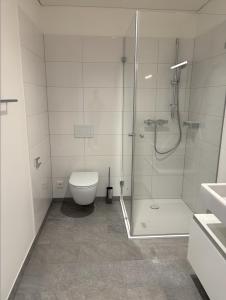 a bathroom with a shower and a toilet at Herburger Living in Dornbirn