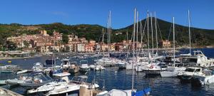 a bunch of boats are docked in a harbor at La Maisonnette in Rio Marina