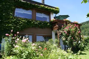 Zahrada ubytování Ferienwohnung Kreuzbühl