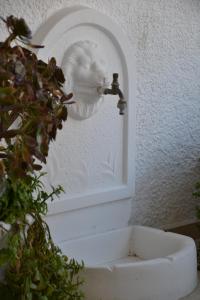 a bathroom with a water faucet and a plant at Oceanis Hotel in Karpathos