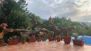 Сад в Vacanze Sicilia, Villa con piscina con vista Mare e porto di Cefalù