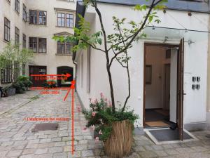 a tree in a pot in front of a building at Cozy Heaven in the lovely 2nd district of Vienna in Vienna