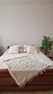 Galería fotográfica de Świerkowy Zakątek en Krasnobród