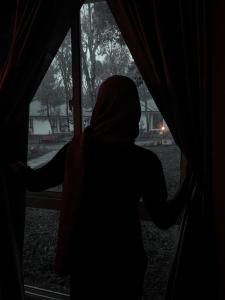 PinangodeMountain Hills的相册照片