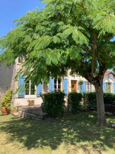 a house with a tree in front of it at Silk Tree in  Gournay-Loizé