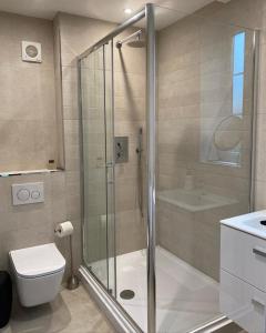 a bathroom with a shower and a toilet and a sink at Chapel House Estate in Kent