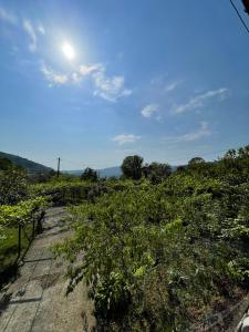 Paesaggio naturale nelle vicinanze della stanza in casa privata