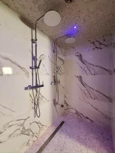 a shower in a room with marble walls at L'Évasion des Sens - Spa Sauna Hammam Jacuzzi in Bray-sur-Somme +11 photos