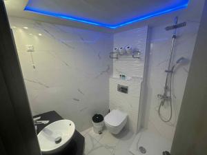 a bathroom with a shower and a toilet and a sink at Oceanis Hotel in Karpathos