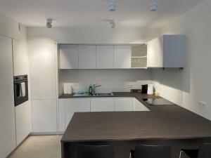 ルクセンブルクにあるModern Luxembourg City Center Apartment with big terraceの白いキャビネットとカウンタートップを備えたキッチン