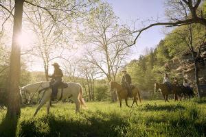 Loomad of the luxury tent aladel või selle läheduses