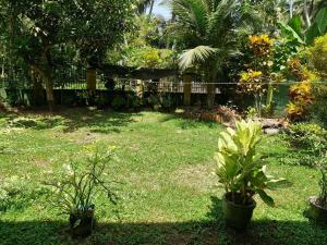 Gallery image of Rose villa in Mahawewa +2 photos