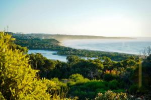 a view of a beach and the ocean at Pikes Point Beach House in Merimbula