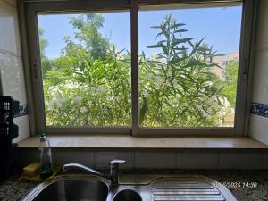 Κήπος έξω από το Blife Candya private apartment