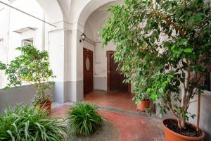a hallway with trees and plants in a building at Wellness HM al Corso By Dimorra in Naples