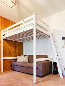バルドネッキアにあるTiny House Campo Smithのリビングルーム(ソファ付)のロフトベッド1台