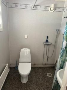 a bathroom with a white toilet and a sink at Studio Kustvägen in Mellbystrand