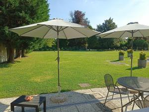 Κήπος έξω από το Villa Olanda