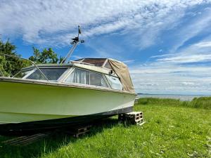 a green boat sitting in a field of grass at Windy paadimajutus in Pulli