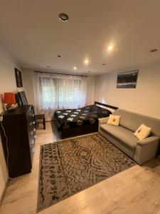 una sala de estar con un sofá y una cama en Apartament Śnieżka, en Zakopane