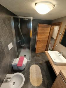 a bathroom with a sink and a toilet and a shower at Casa Soraya 2 in Falcade +9 photos