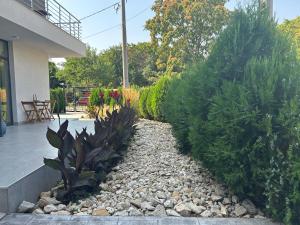 a garden with plants and rocks in a yard at EOS - Eforie Nord in Eforie Nord