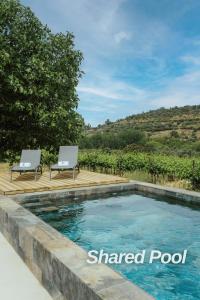 a swimming pool with two chairs on a wooden deck at Alojamentos Plansel - No Coração das Vinhas do Alentejo in Montemor-o-Novo