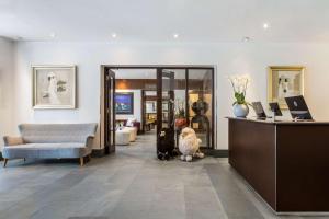 a dog and a cat sitting in a lobby at Guild Hotel Marble Arch in London