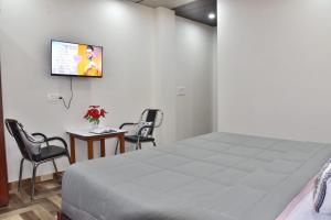 ein Schlafzimmer mit einem Bett und zwei Stühlen und einem Fernseher in der Unterkunft Hill Garden Homestay Kasuali in Dharampur