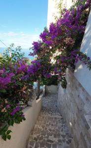 a pathway with purple flowers on a wall at Captain's View in Dobra Voda