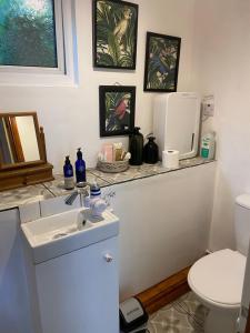 Afbeelding uit fotogalerij van Hillside Launceston Cornwall in Launceston