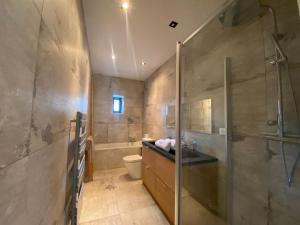 a bathroom with a shower and a toilet and a sink at Capsule la grange arcade de jeux billard 4 chambres 300m2 in Vicq +98 photos
